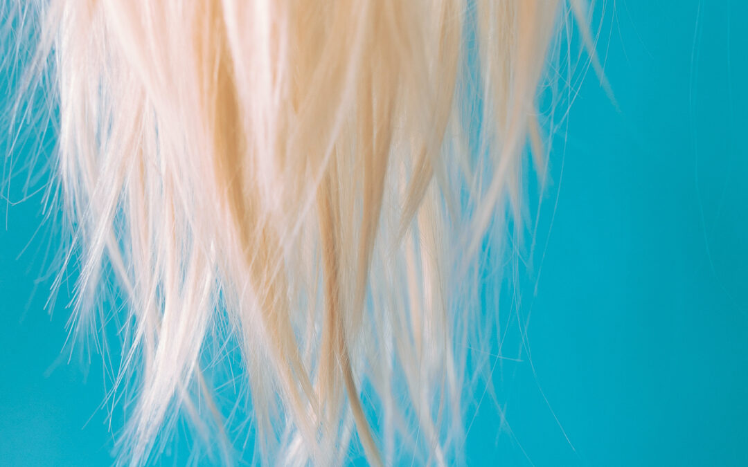 jess martin moxie hair salon luxury hair extensions cookeville tennessee